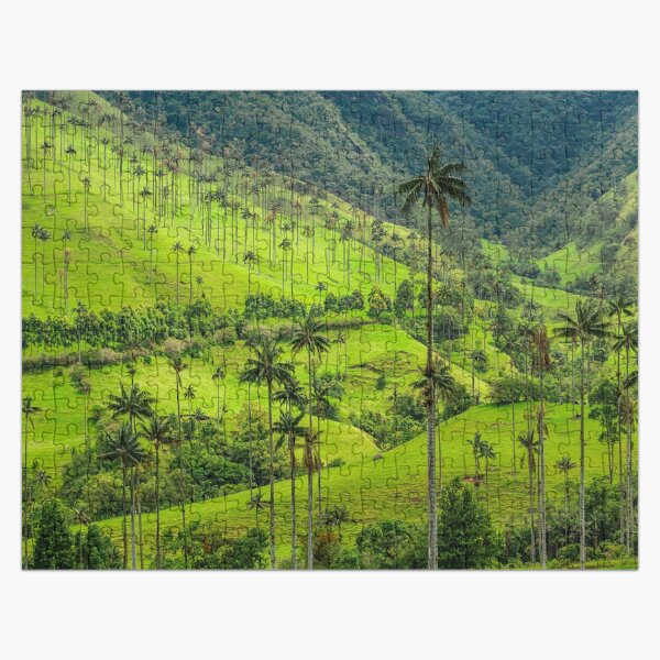 Artikel-Vorschau von Cocora-Tal, Salento, Kolumbien., designt und verkauft von Juank8200.