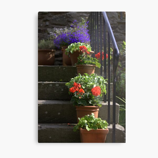 Pot plants and garden steps Metal Print