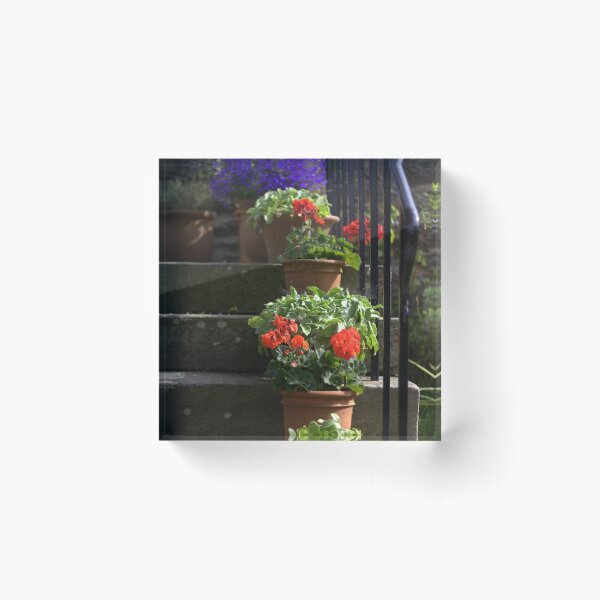 Pot plants and garden steps Acrylic Block