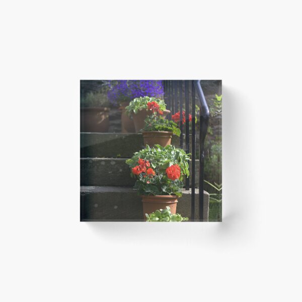 Item preview, Pot plants and garden steps designed and sold by MagsArt.