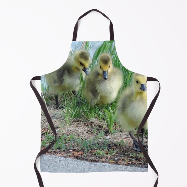 Item preview, Canada Geese Goslings designed and sold by PhotosBySusanne.
