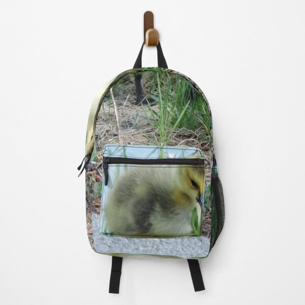 Item preview, Canada Geese Goslings designed and sold by PhotosBySusanne.