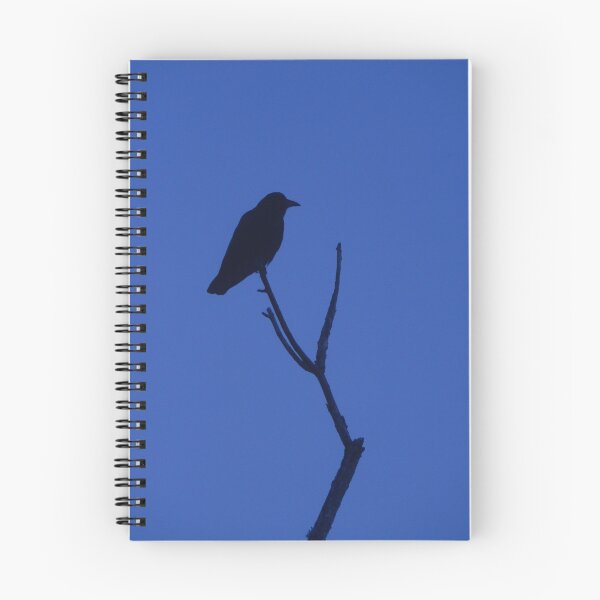 Item preview, Crow on Guard designed and sold by ByCollins.