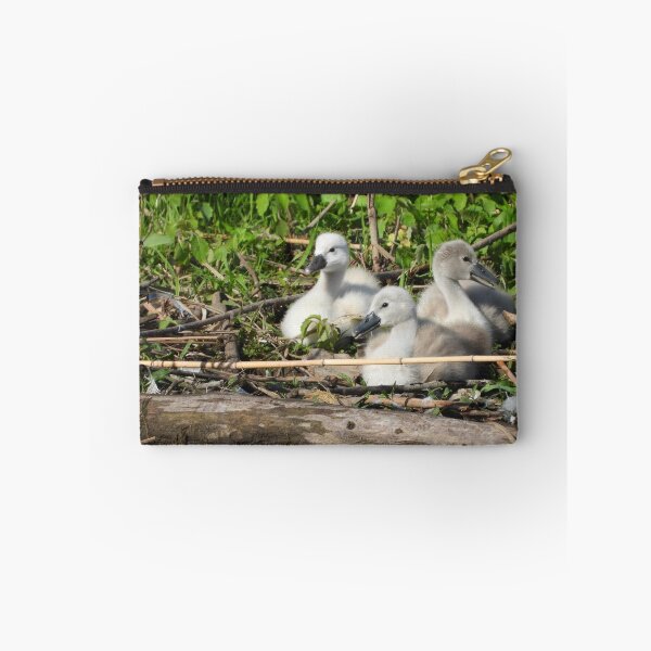 Item preview, Three Mute Swan Cygnets designed and sold by PhotosBySusanne.