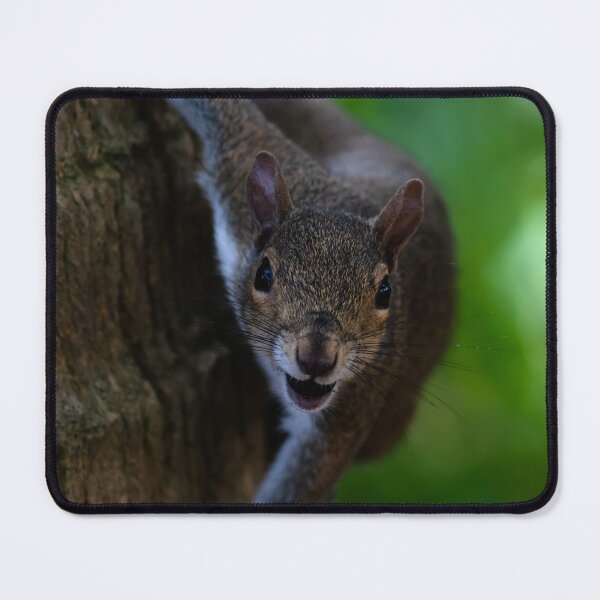 Item preview, lunch time squirrel designed and sold by StephanieAnnArt.