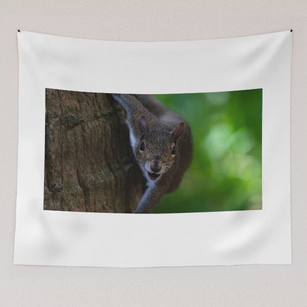 Item preview, lunch time squirrel designed and sold by StephanieAnnArt.