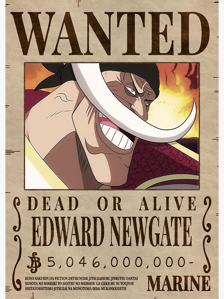 WANTED WHITEBEARD ONE PIECE POSTER 52 X 38 CM