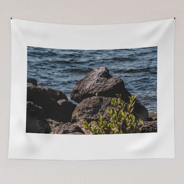 Item preview, beach rocks designed and sold by StephanieAnnArt.