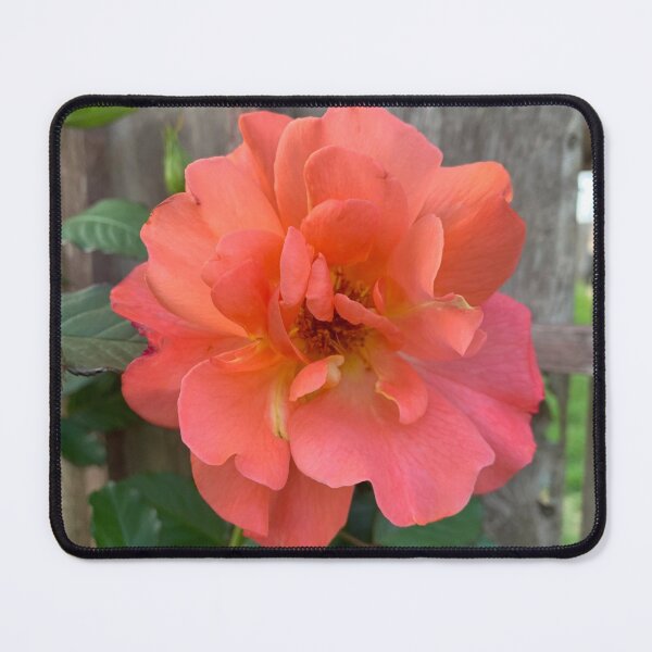 Item preview, Rose designed and sold by baksuart.