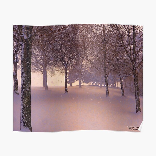 Snowfall at Sunset Poster