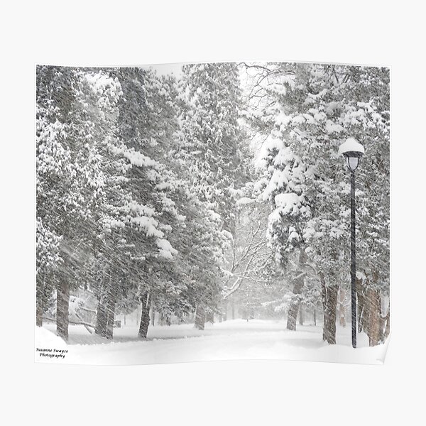 Canadian Winter Poster