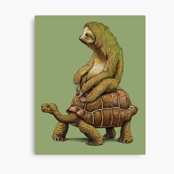 Speed is Relative Canvas Print