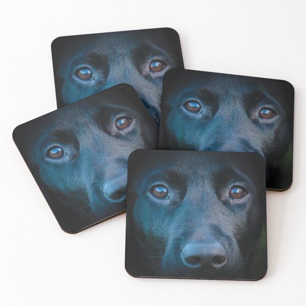 Item preview, Black Labrador face designed and sold by Dalyndigital Photography.