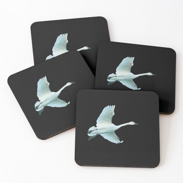 Item preview, Bewicks Swan taking to the air designed and sold by Dalyndigital Photography.