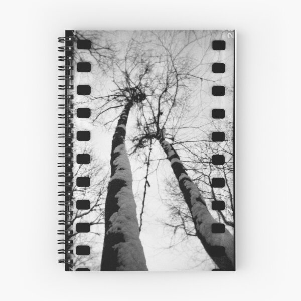 Item preview, Giraffe Trees at Mount Misery - Lincoln, MA designed and sold by abraxisdesign.