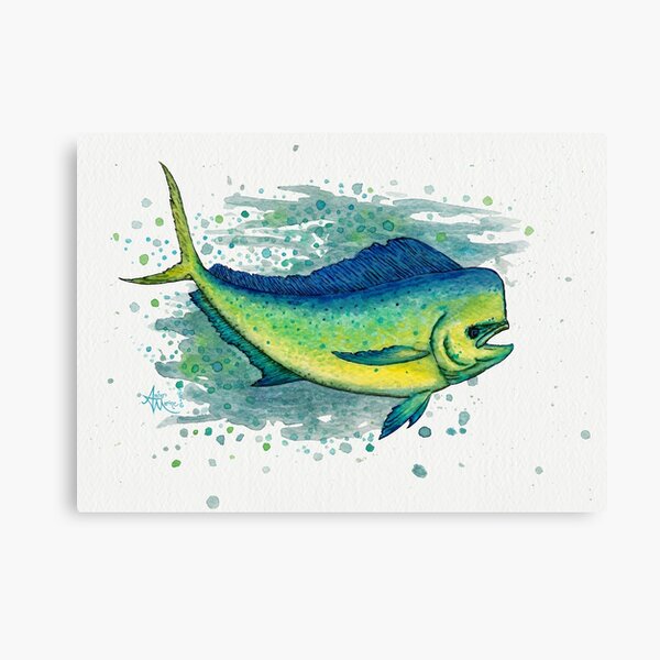 "Mahi Mahi Splash" by Amber Marine ~ watercolor & ink dolphin fish / dorado painting, art © 2016 Canvas Print