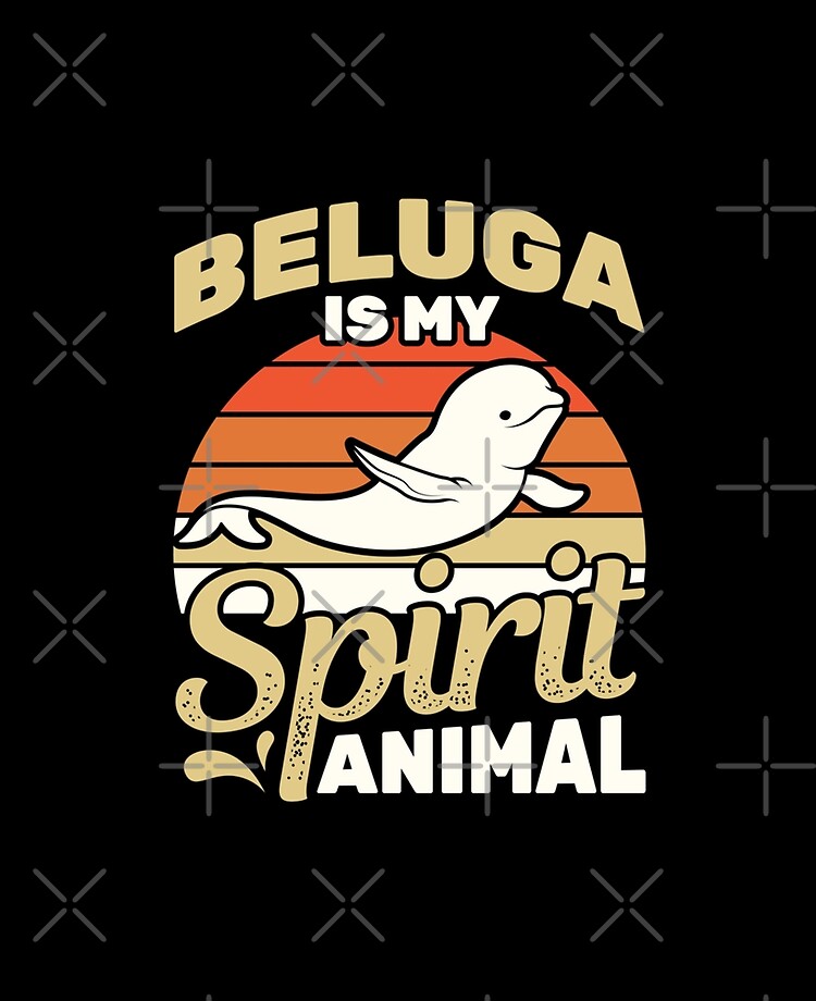 Beluga - Official Store