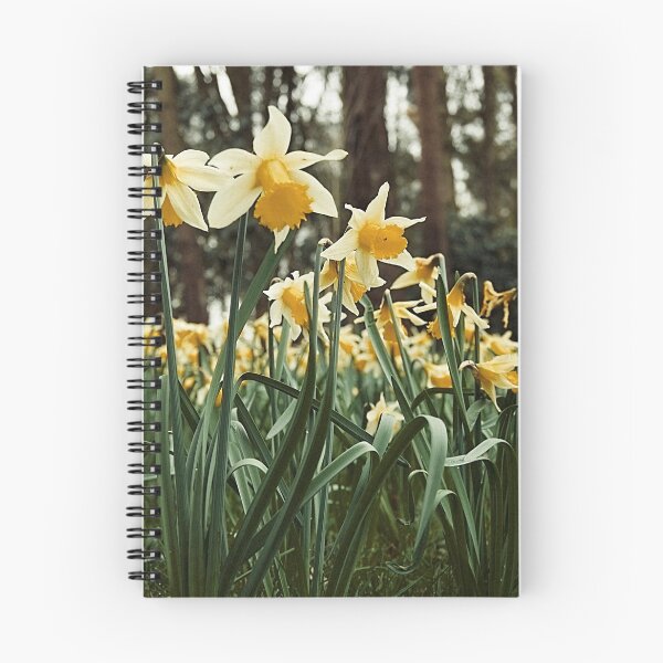 Item preview, Host of daffodils designed and sold by gailgriggs.