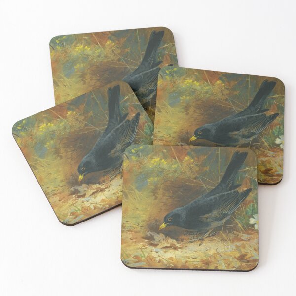 Item preview, Blackbird | Archibald Thorburn | 1928 Bird Print designed and sold by CJET.