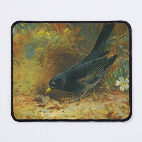 Item preview, Blackbird | Archibald Thorburn | 1928 Bird Print designed and sold by CJET.