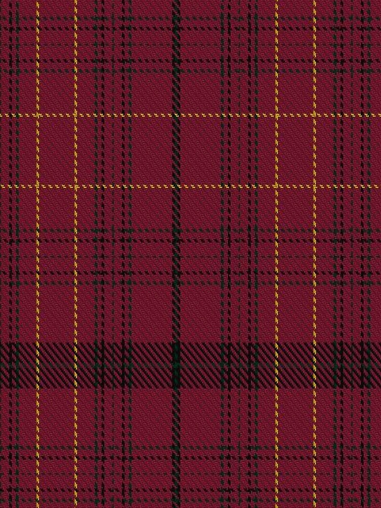 Williams of Wales Clan/Family Tartan by Detnecs2013