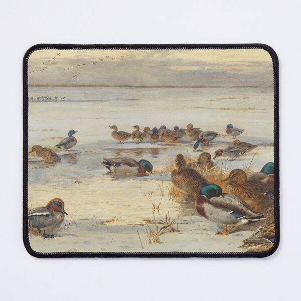 Item preview, Mallard and Teal on a Snowy Marsh | Archibald Thorburn | 1907 Duck Print designed and sold by CJET.