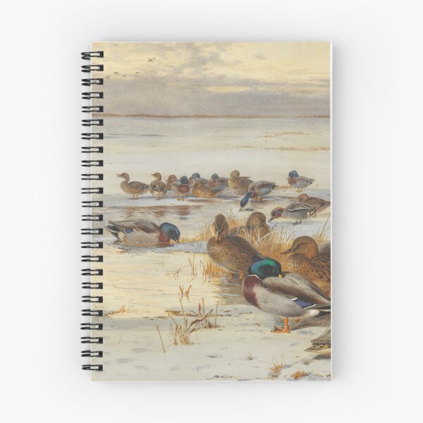 Item preview, Mallard and Teal on a Snowy Marsh | Archibald Thorburn | 1907 Duck Print designed and sold by CJET.