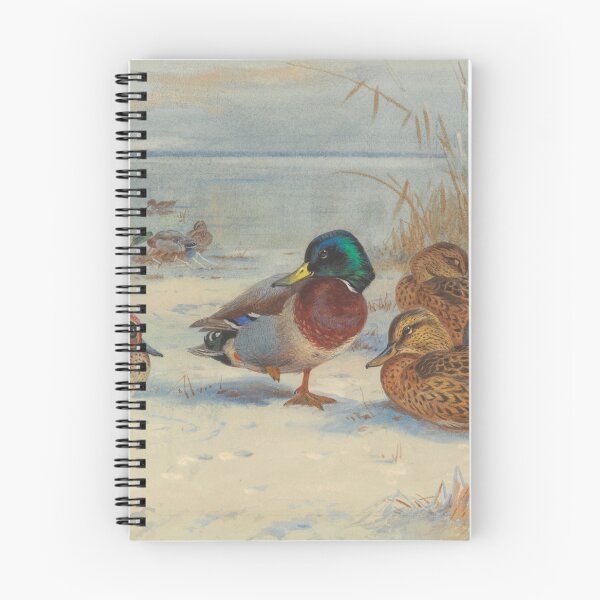 Item preview, Mallard and Teal in the Snow | Archibald Thorburn | 1929 Duck Print designed and sold by CJET.