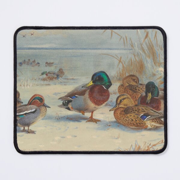 Item preview, Mallard and Teal in the Snow | Archibald Thorburn | 1929 Duck Print designed and sold by CJET.