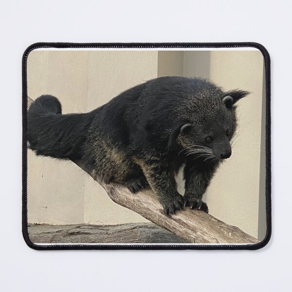 Item preview, Bear cat designed and sold by Pokemonmini.