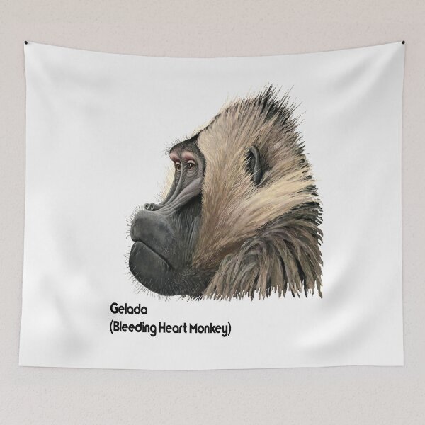 Item preview, Gelada Baboon or Bleeding Heart Monkey Primate designed and sold by encyclo-art.