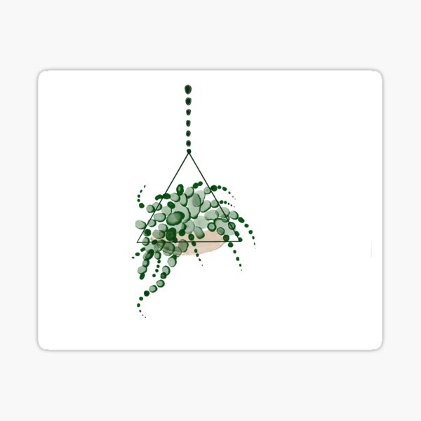 Oh So Succulent! Sticker