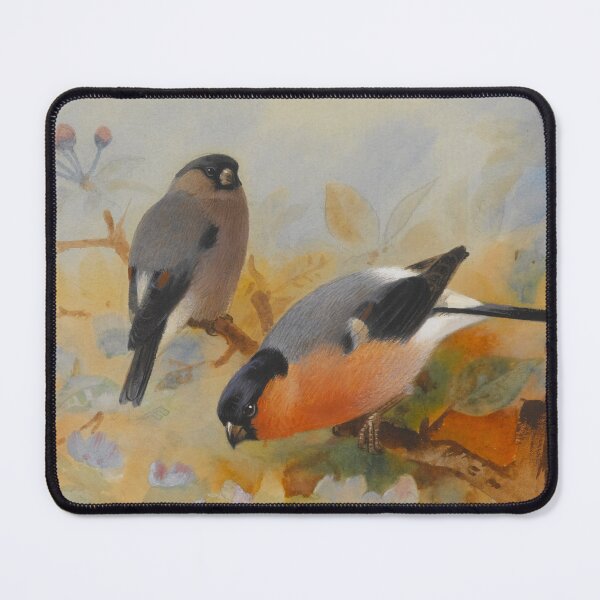 Item preview, Goldfinches | Archibald Thorburn | 1908 Bird Print designed and sold by CJET.