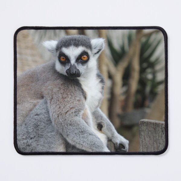 Item preview, Lemur Badge designed and sold by deanworld.