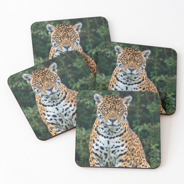 Item preview, Jaguar designed and sold by MorningFive.