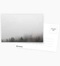 Trees and Fog Postcards