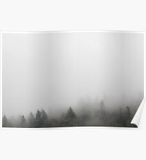 Trees and Fog Poster