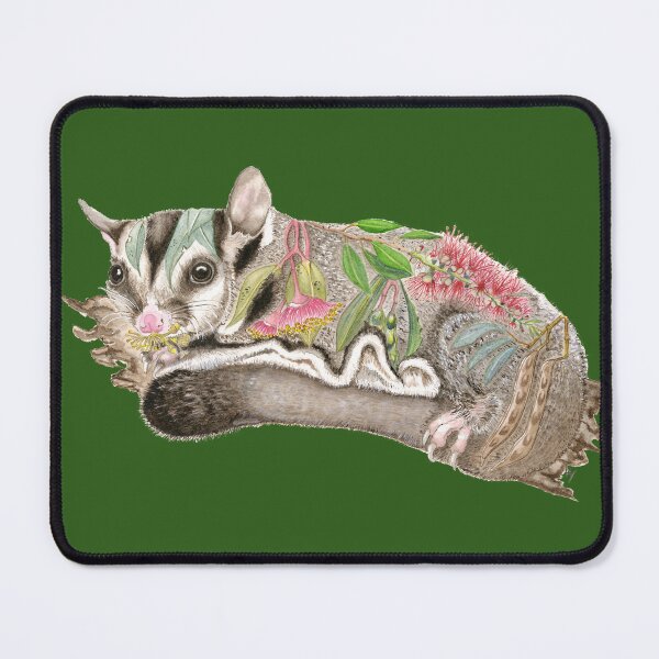 Item preview, The Australian Squirrel Glider with his food within the outline. designed and sold by Nature in Tasmania.