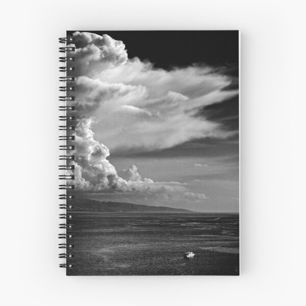 Item preview, The cloud designed and sold by Silvia Ganora.