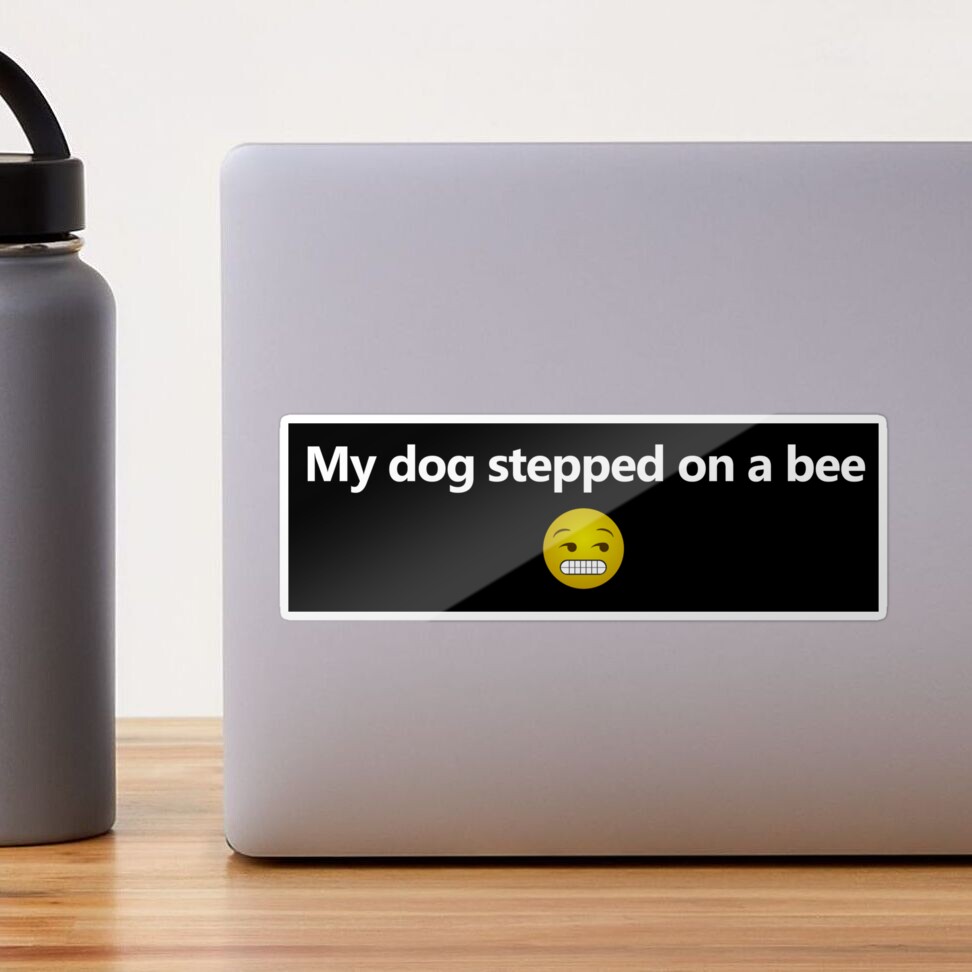 my dog stepped on a bee rap｜TikTok Search