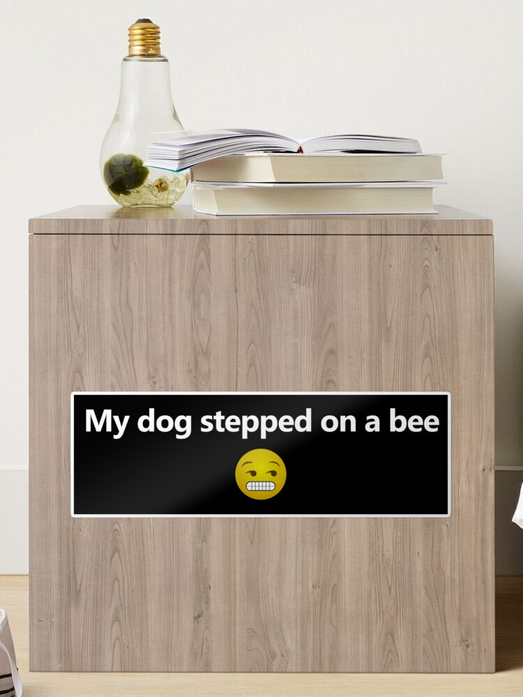 My dog stepped on a bee 😖#teamjonnydepp#mydogsteppedonabee
