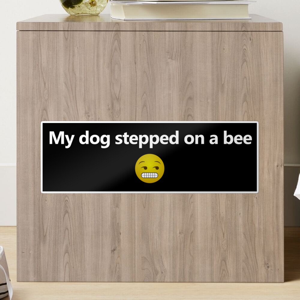 my dog stepped on a bee (official music video)