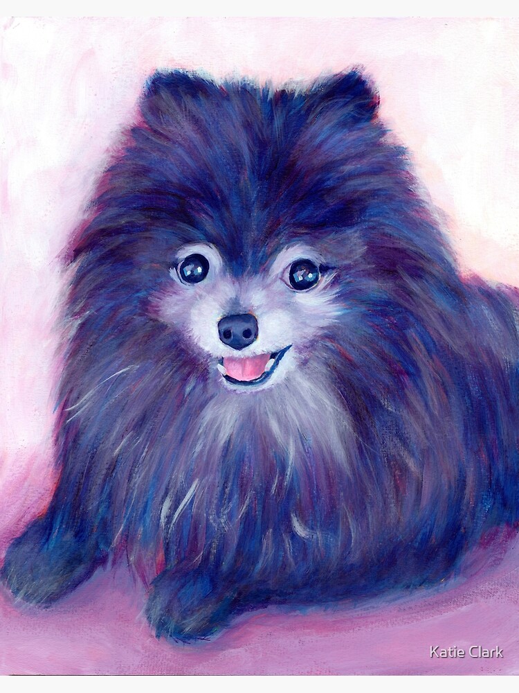 Purple Pomeranian\
