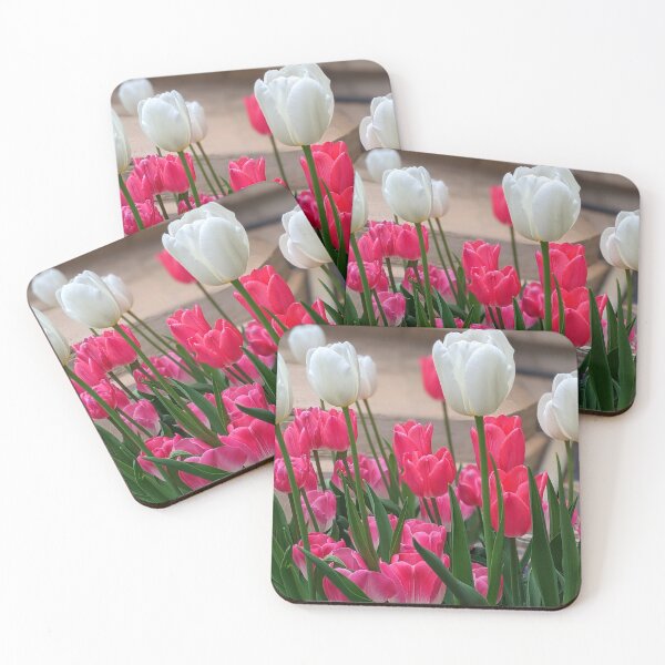 Aperçu de l'œuvre Magnifiques tulipes blanches et roses créée et vendue par Shapes-Mania.