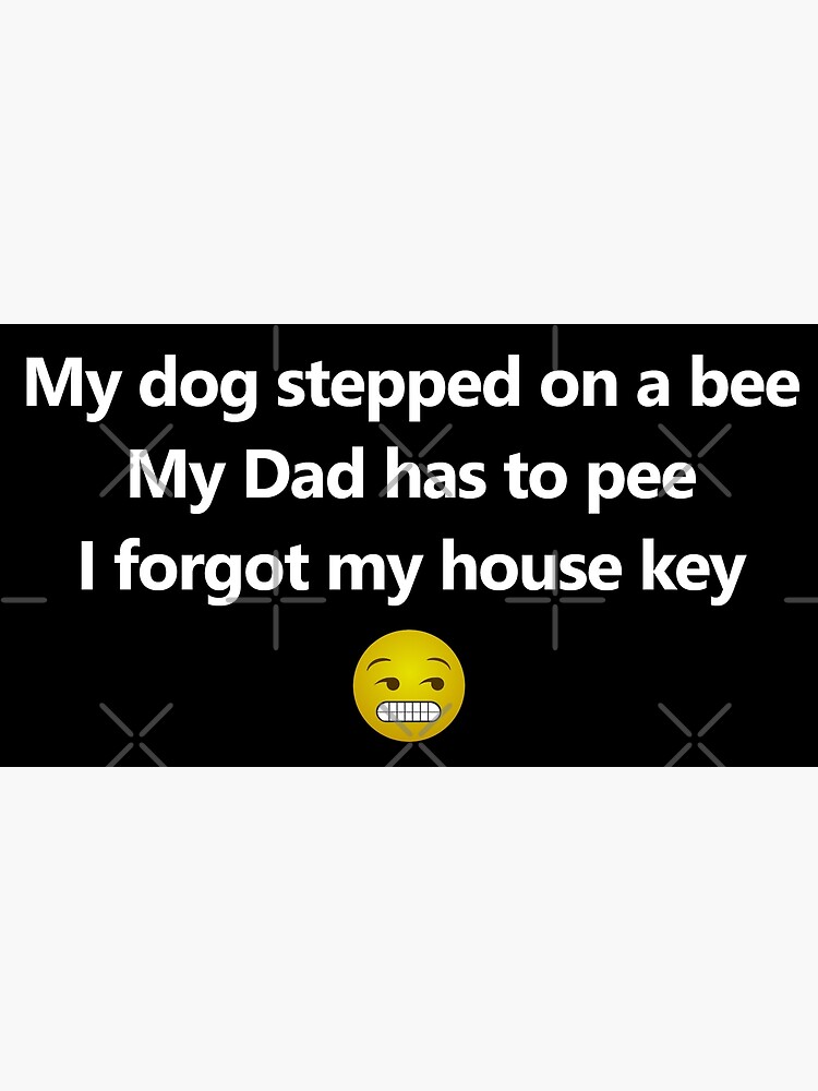 "My dog stepped on a bee, My dad has to pee, I my house key with face Tiktok sound meme
