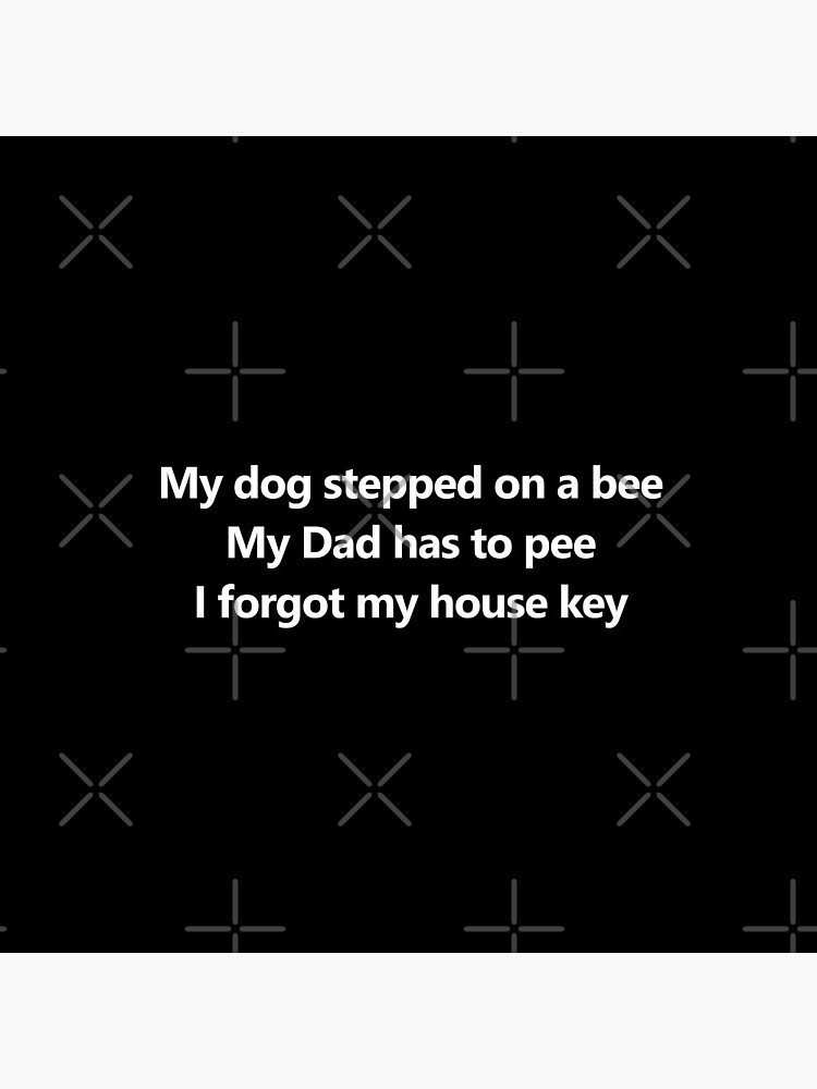 My dog stepped on a bee, My dad has to pee, I forgot my house key - Tiktok  sound meme - Justice for Johnny | Art Board Print