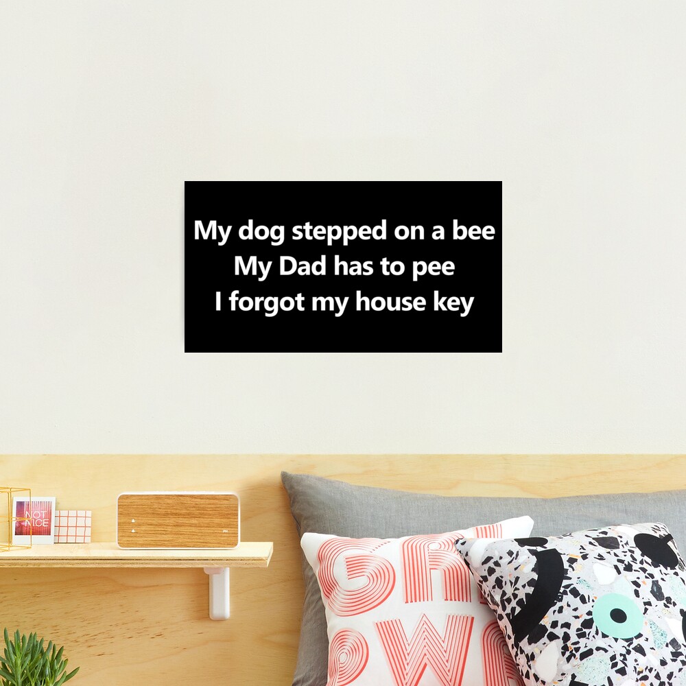 My dog stepped on a bee, My dad has to pee, I forgot my house key - Tiktok  sound meme - Justice for Johnny | Art Board Print