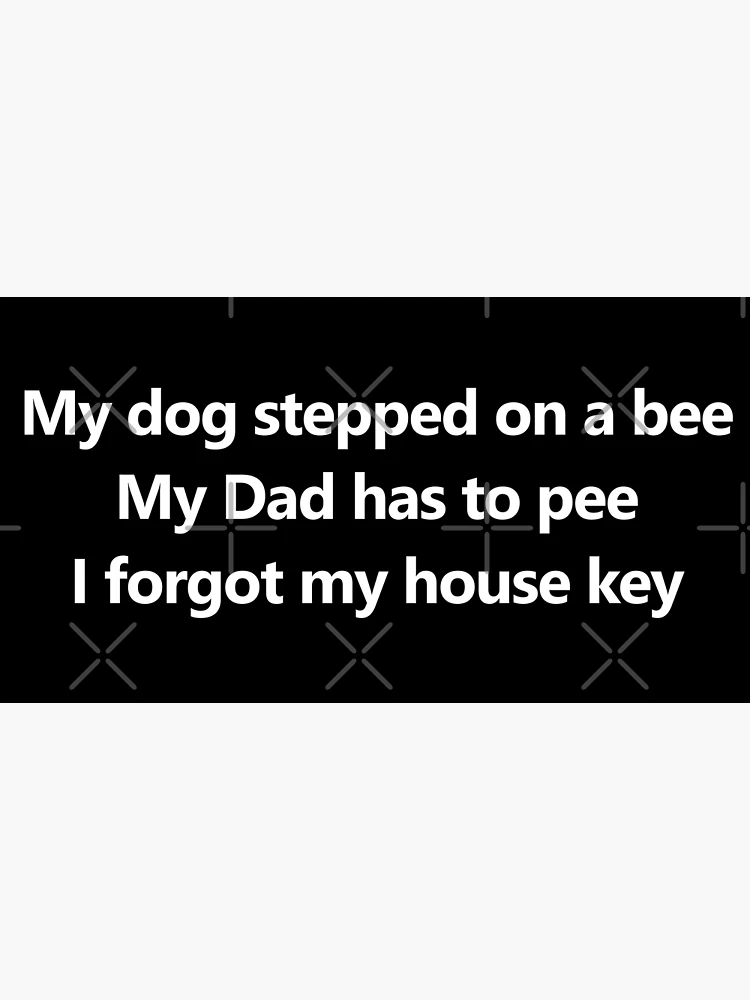 My dog stepped on a bee with face - Tiktok sound meme - Justice