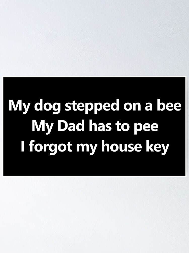 My dog stepped on a bee, My dad has to pee, I forgot my house key