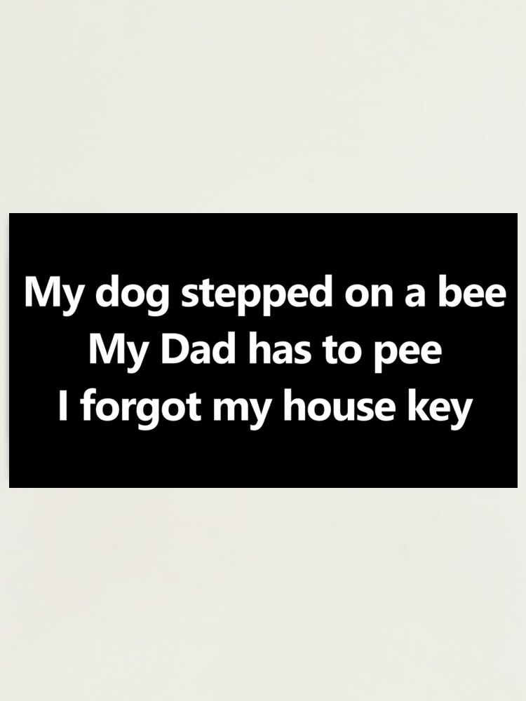 My dog stepped on a bee, My dad has to pee, I forgot my house key - Tiktok  sound meme - Justice for Johnny | iPad Case & Skin